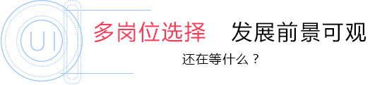 多岗位选择 